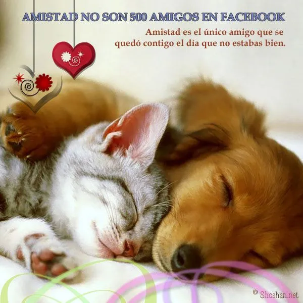 Tarjetas amistad gratis para enviar - Imagui Tarjetas amistad gratis para enviar - Imagui