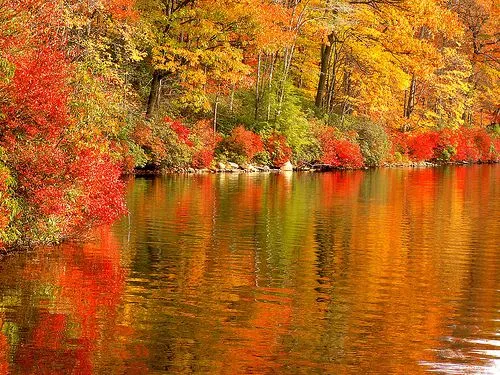 Fondo de escritorio gratis de paisajes otoñales - Imagui Fondo de escritorio gratis de paisajes otoñales - Imagui