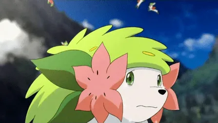 Imagen - P11 Shaymin llorando.png - WikiDex, la enciclopedia ...