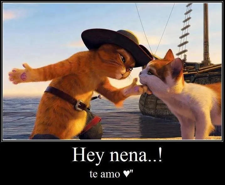 Imagenes graciosas para mi bb pin - Imagui