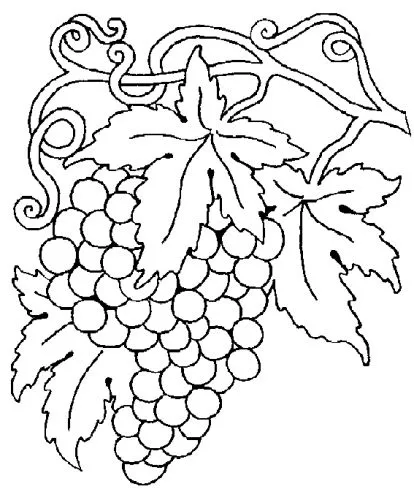 Imagen Plantilla Racimo de Uvas - grupos.emagister.com Imagen Plantilla Racimo de Uvas - grupos.emagister.com