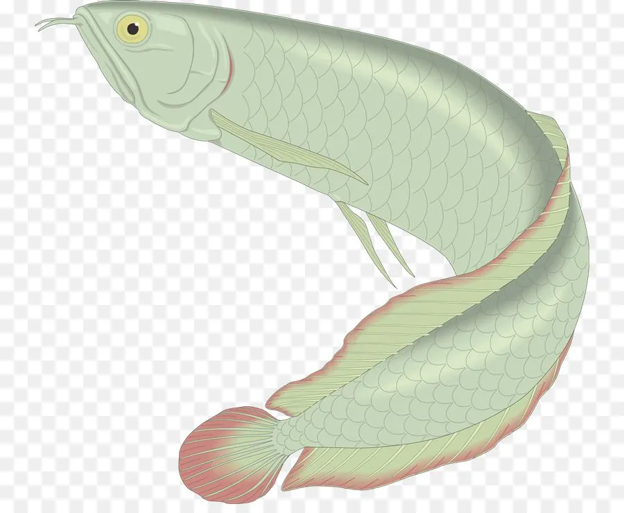 imagen png - imagen transparente descarga gratuita imagen png - imagen transparente descarga gratuita