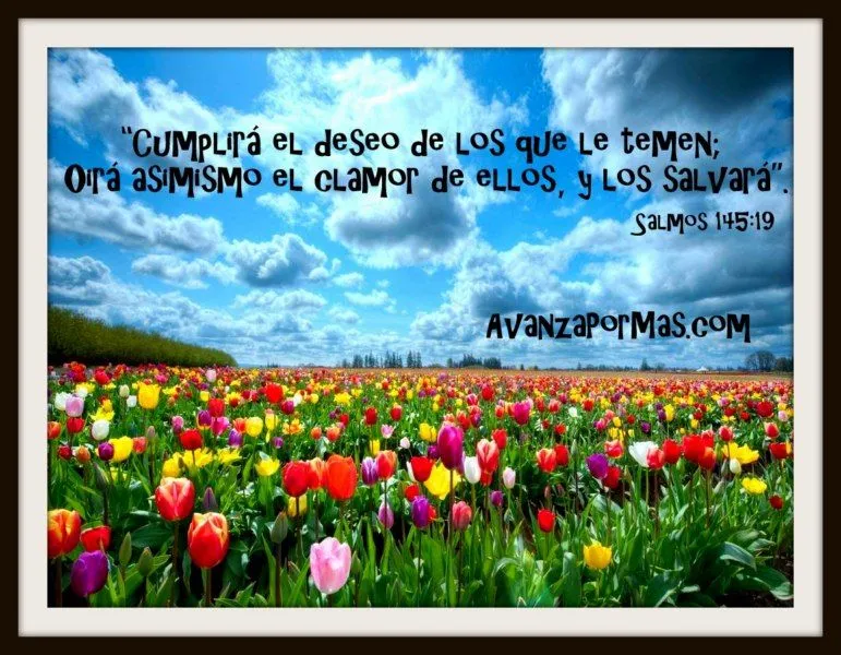 IMAGEN) "Cumplirá el Deseo de los que le Temen, oirá asimismo el ...