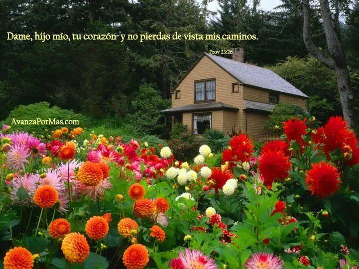 Frases de reflexiones cristianas con bellos paisajes - Imagui Frases de reflexiones cristianas con bellos paisajes - Imagui