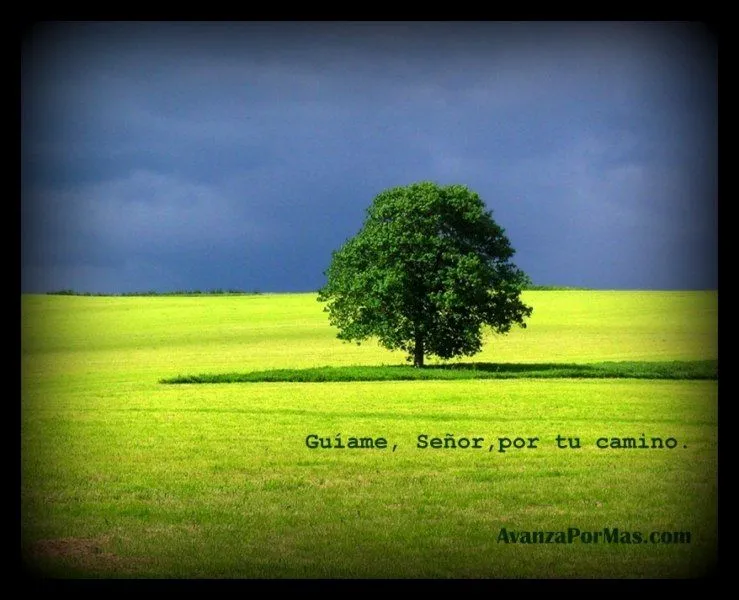 IMAGEN) "Guíame Señor Por Tu Camino..." -> Imágenes Cristianas IMAGEN) "Guíame Señor Por Tu Camino..." -> Imágenes Cristianas