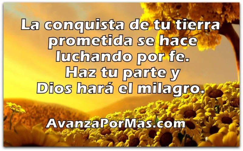 IMAGEN) "La Conquista de tu TIERRA PROMETIDA, se hace luchando por ... IMAGEN) "La Conquista de tu TIERRA PROMETIDA, se hace luchando por ...