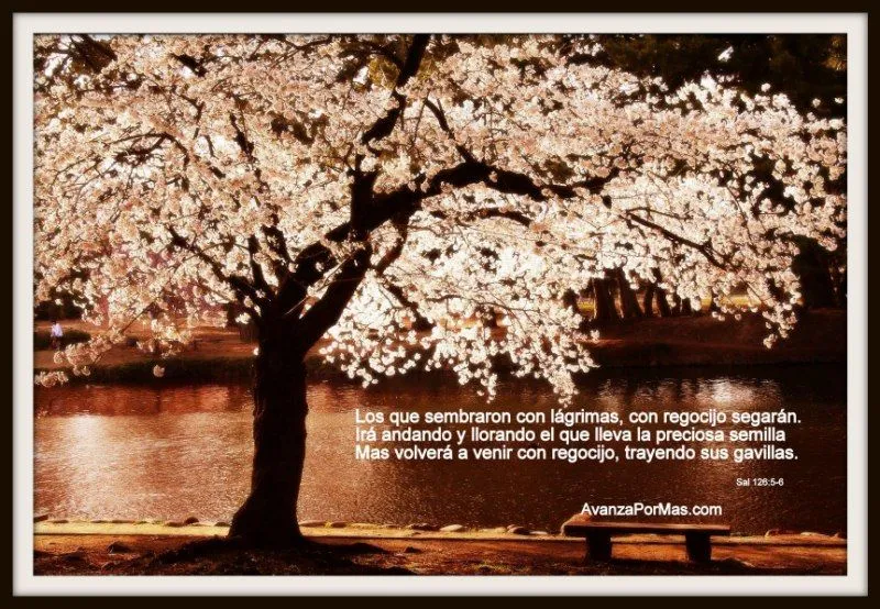 IMAGEN) "Los Que Sembraron con Lágrimas con Regocijo Segarán ...