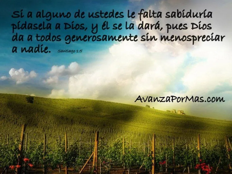 IMAGEN) "Si alguno de ustedes le fala sabiduría" -> Imágenes ...