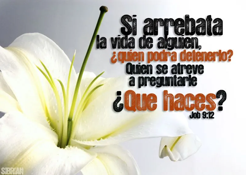 Imagen con texto bíblico para Funeral | Dibujos Infantiles Imagen con texto bíblico para Funeral | Dibujos Infantiles
