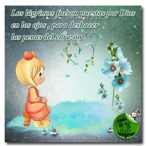 Todo Imagenes