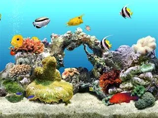 Aqua Real 3D [MU] - GearSoftware