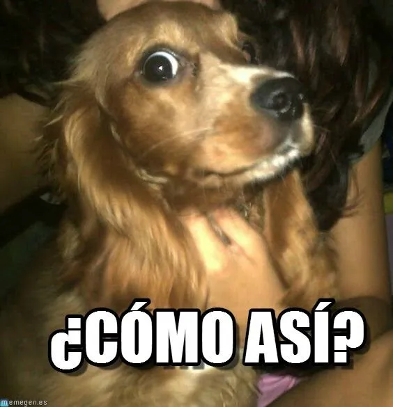 Imagenes 3H y HD de animales y animadas para descargar como fondo ...