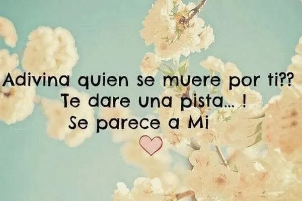 Imagenes 5000 - Imagenes de amor, amistad, reflexion, etc... Imagenes 5000 - Imagenes de amor, amistad, reflexion, etc...