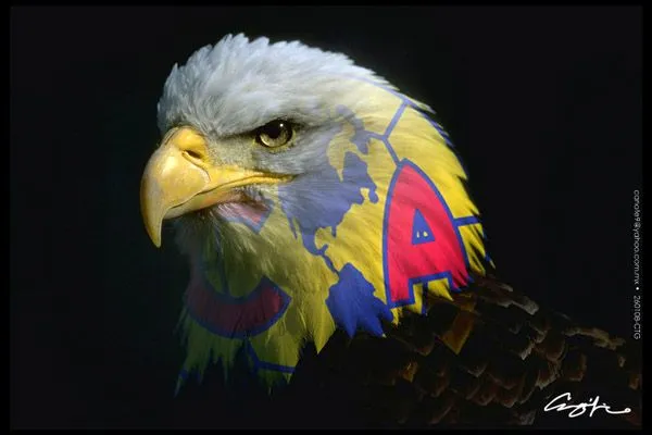 Aguilas del america animadas - Imagui