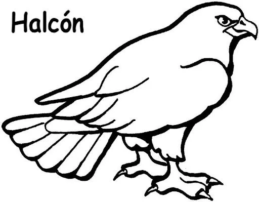 Dibujos de alcon - Imagui