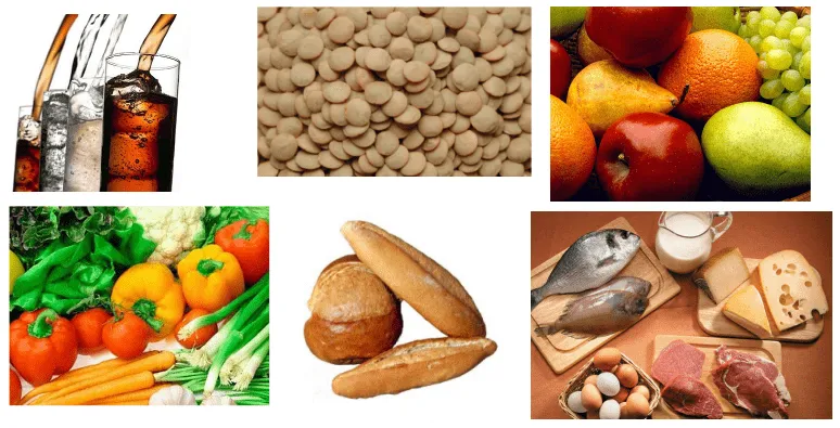LOS ALIMENTOS