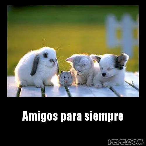 Imagenes de amigos para siempre para el FaceBook - Imagui