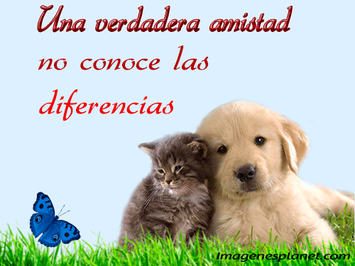 Imágenes de Amistad Bonitas con movimiento y frases – Información ... Imágenes de Amistad Bonitas con movimiento y frases – Información ...