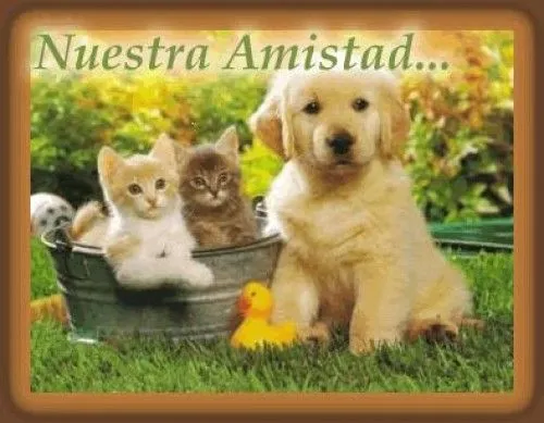 ver imagenes de amor online desmotivaciones con frases poemas ...