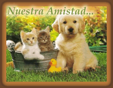 Imagenes de amistad gif con movimiento - Imagui Imagenes de amistad gif con movimiento - Imagui