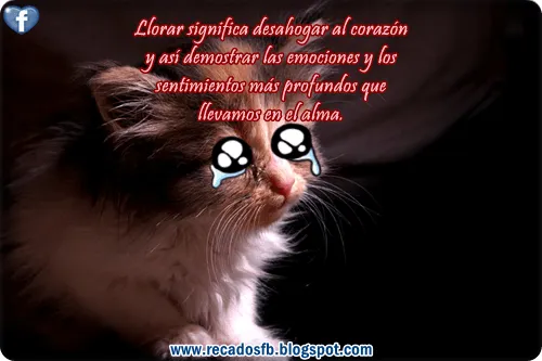 Imagenes de amistad para whatsapp: Bellas imágenes tristes de ... Imagenes de amistad para whatsapp: Bellas imágenes tristes de ...