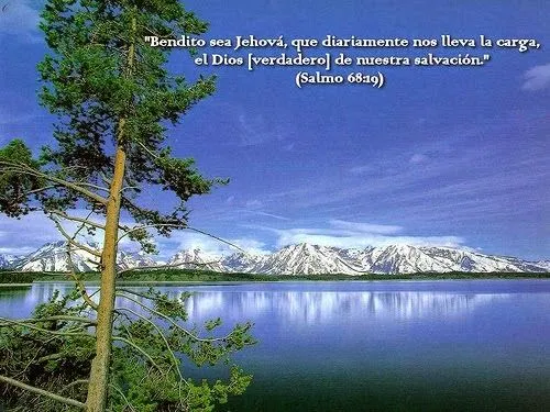 Imagenes de amistad para whatsapp: Nuevos mensajes de paz cortos