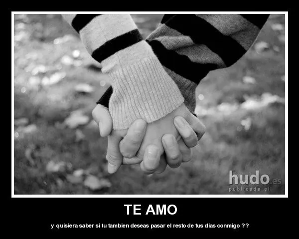 Imagenes • Te amo desmotivaciones