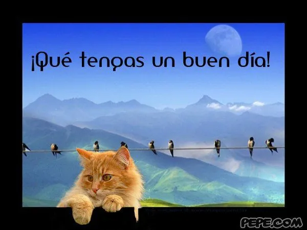 Que tengas un excelente día amor - Imagui