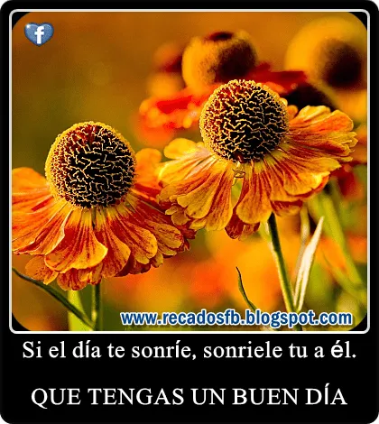 Imagenes • Que tengas un buen dia amor Imagenes • Que tengas un buen dia amor