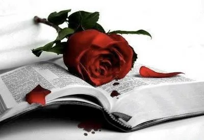 Imagenes de Amor y Amistad: Rosas y Espinas