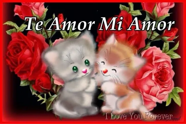 Imagenes • Buenos dias amor te amo mucho