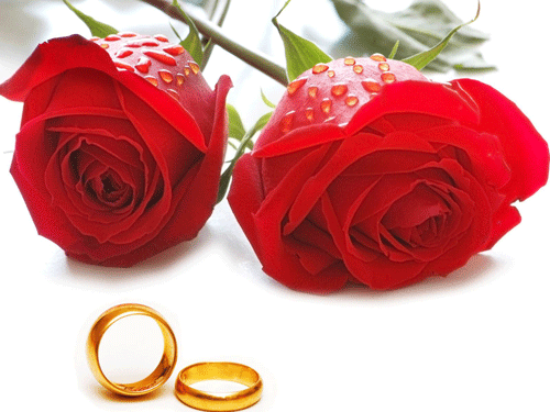 IMAGENES DE AMOR ANILLOS DE COMPROMISO Imagenes Bonitas para ... IMAGENES DE AMOR ANILLOS DE COMPROMISO Imagenes Bonitas para ...