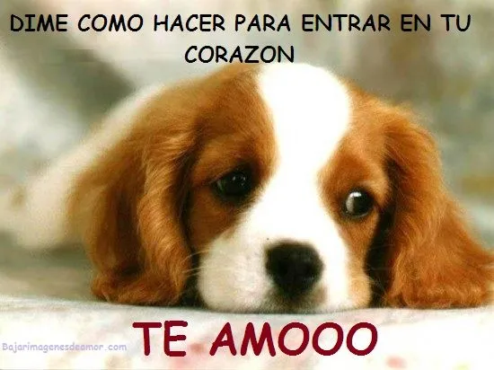 Imagenes de amor animadas y desamor con frases de todo tipo ...
