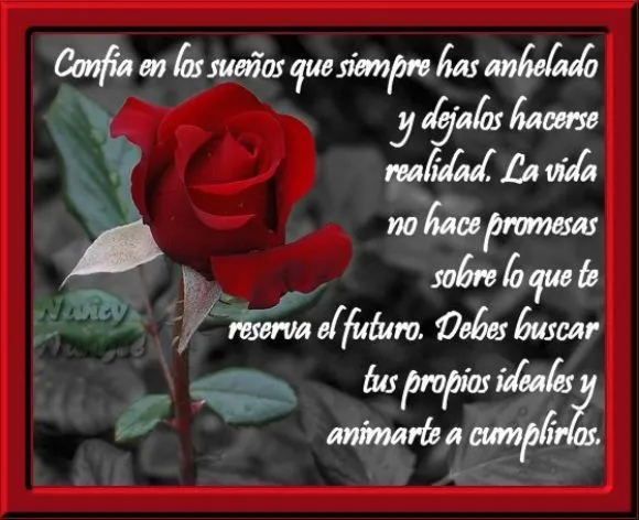 Las imagenes de amor mas bellas del mundo - Imagui Las imagenes de amor mas bellas del mundo - Imagui