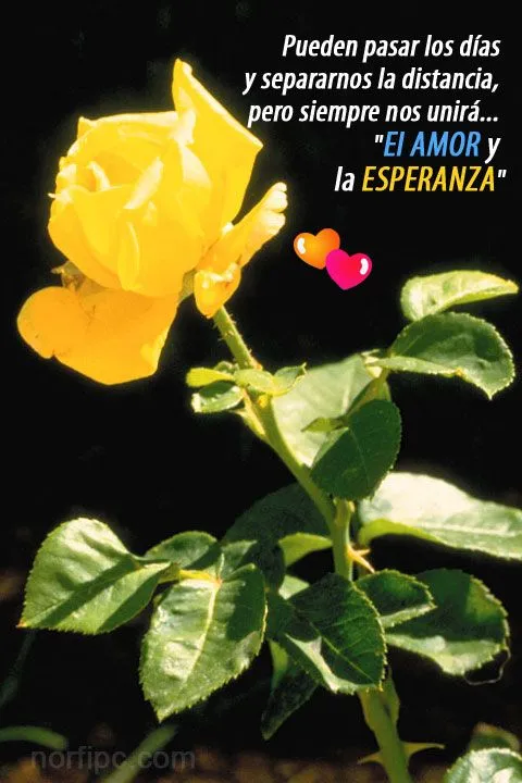 Imágenes de amor bonitas para el teléfono celular o tableta Imágenes de amor bonitas para el teléfono celular o tableta