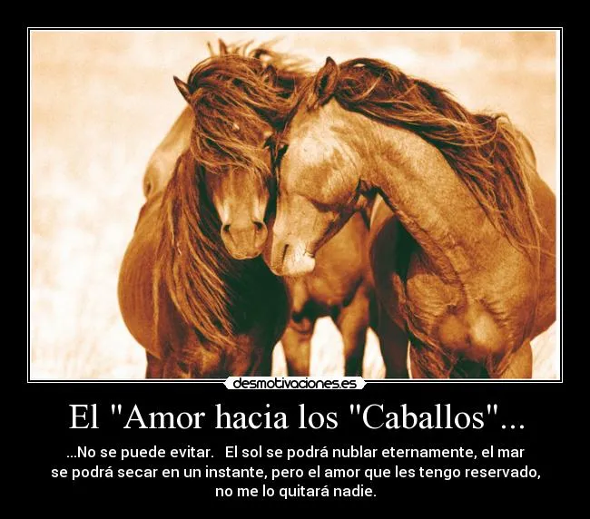El amor a los caballos - Imagui