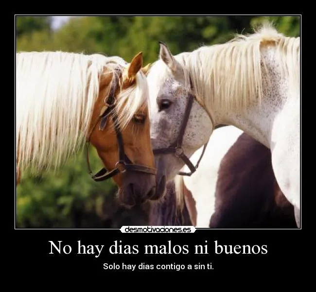 No hay dias malos ni buenos | Desmotivaciones No hay dias malos ni buenos | Desmotivaciones