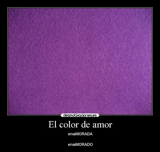 Amor morado - Imagui