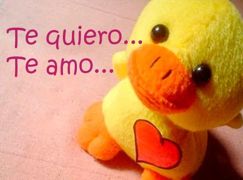 Imágenes de AMOR para compartir © 365 Imágenes bonitas