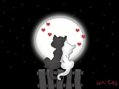 Imágenes de Amor: Dibujo de unos gatitos enamorados Imágenes de Amor: Dibujo de unos gatitos enamorados