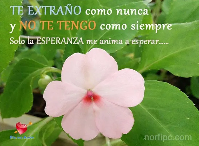 Imágenes de amor para los que están lejos y la distancia los separa