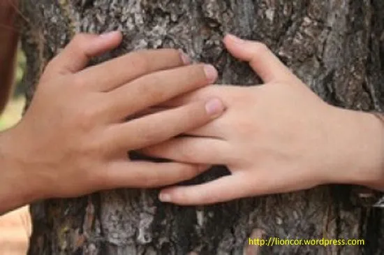 imagenes de amor con frases de amor | AMOR ETERNO ... imagenes de amor con frases de amor | AMOR ETERNO ...