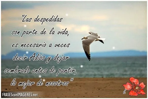 imagenes de amor con frases de despedida, imagenes de amor: Sarco ... imagenes de amor con frases de despedida, imagenes de amor: Sarco ...