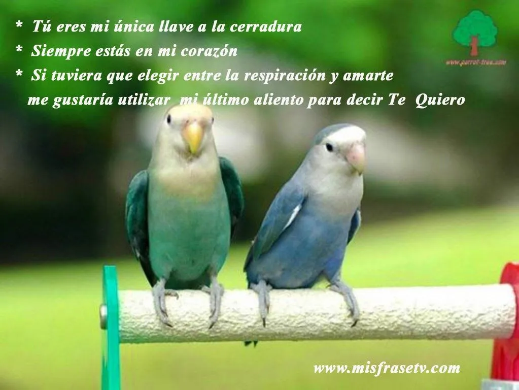 Imagenes de amor con frases HD - Imagui