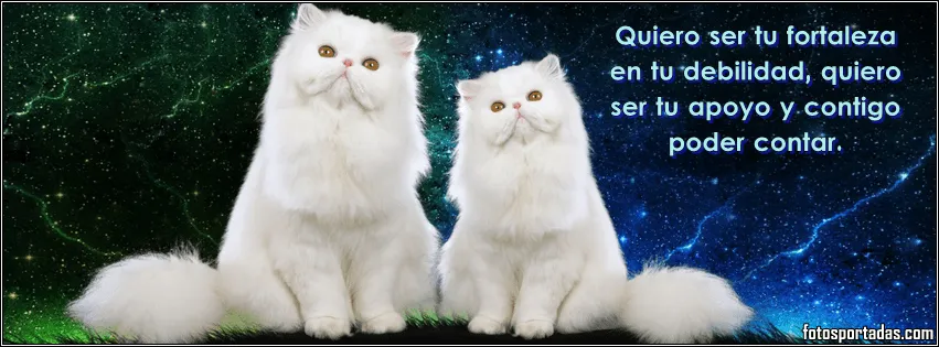 Imágenes de amor con frases para portadas de facebook - Fotos ... Imágenes de amor con frases para portadas de facebook - Fotos ...