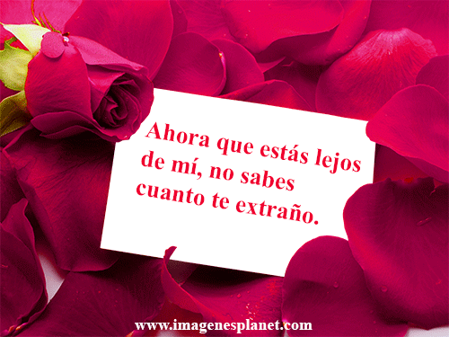 imagenes de amor con frases romanticas | Imagenes de rosas con ...