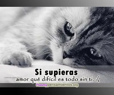 Imagenes de amor con frases tristes para hombres : Imagenes de ...