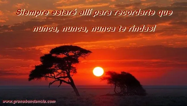 Imagenes de amor HD