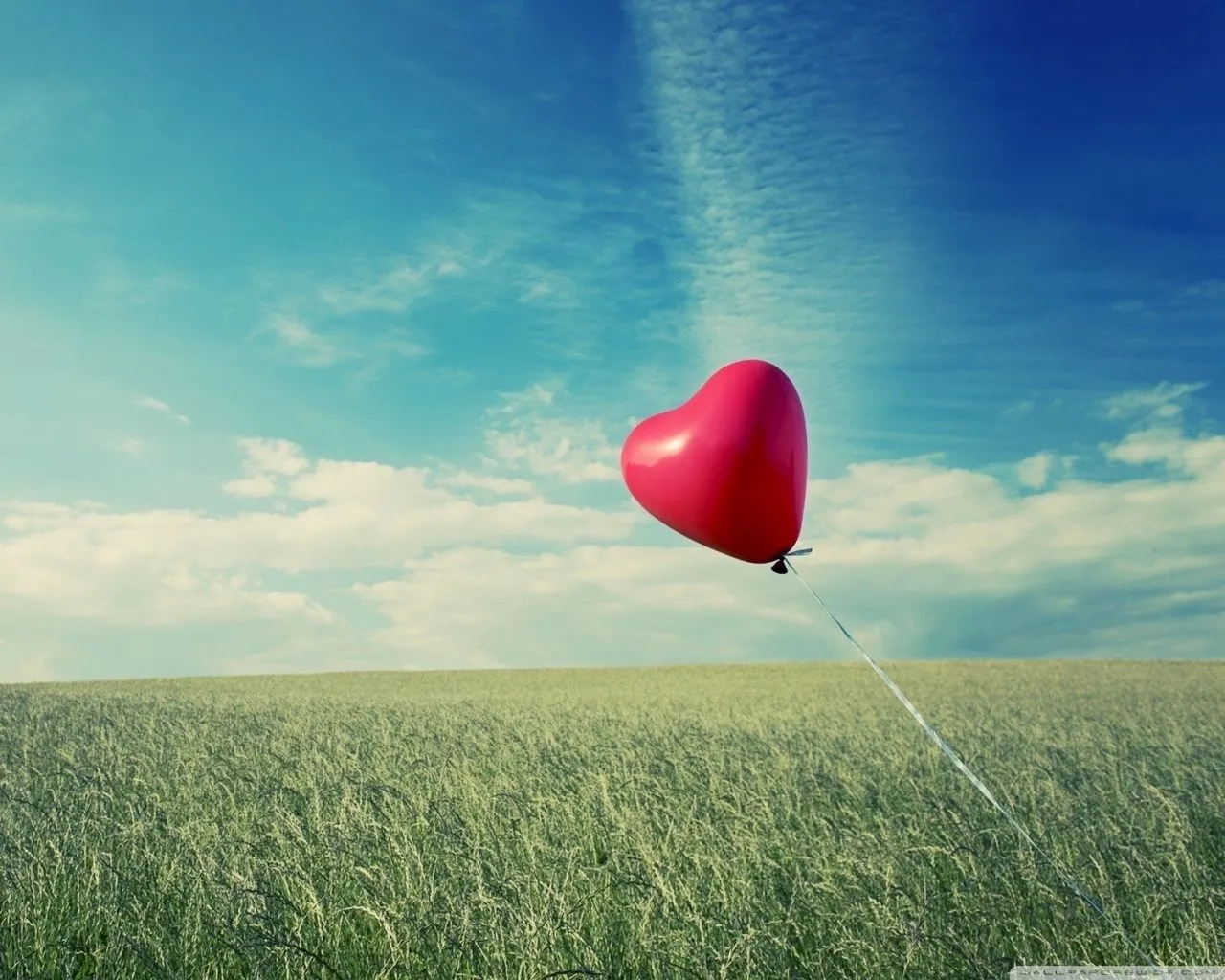 Amor hd | Imagenes tiernas
