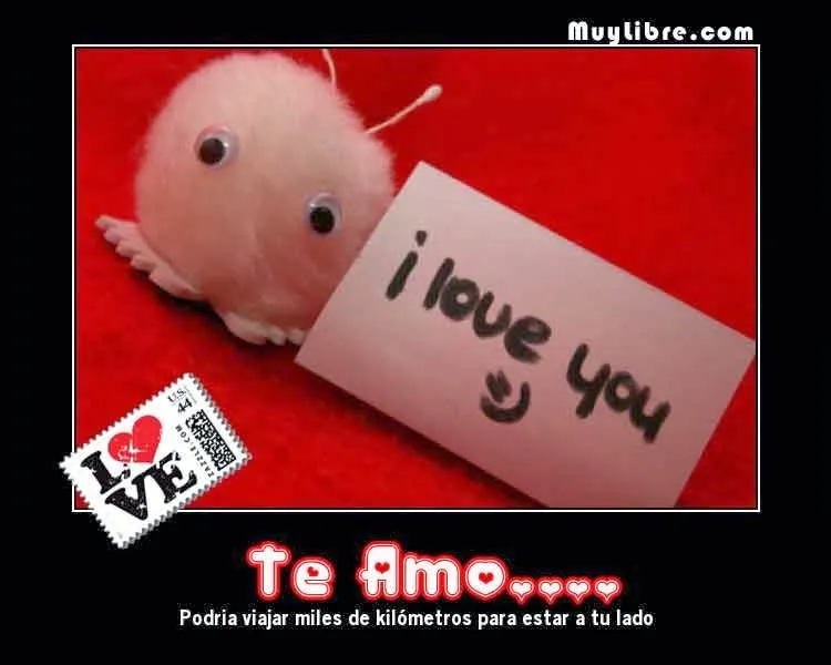 Imagenes de amor HD: Descargar Imagenes Bonitas de Amor y Amistad